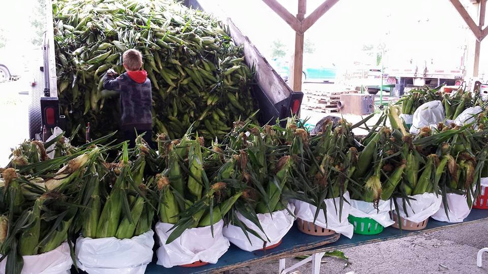 Image du commerce nommé Fruits et Légumes Cataphard
